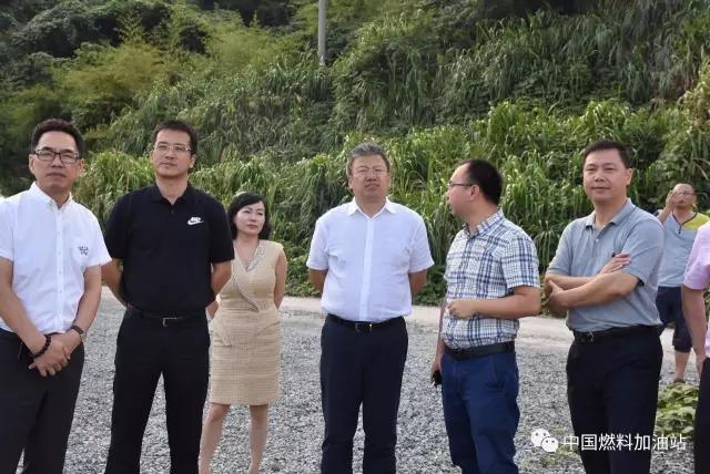 中國燃料集團與龍港洽談能源合作項目